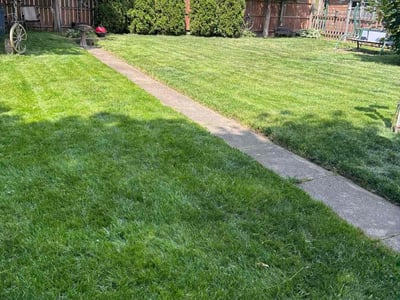 Lawn care service in Carpentersville, 60110