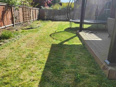 Lawn care service in Newberg, 97132