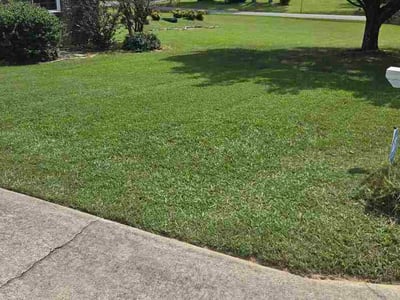 Lawn care service in Cleveland, 37312