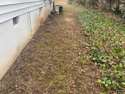 Lawn care service in Alexandria, 22310