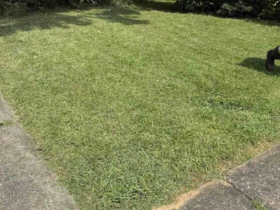 Lawn care service in Clarkston, 30021