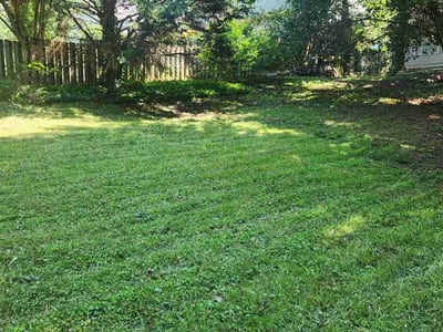 Lawn care service in Snellville, 30078