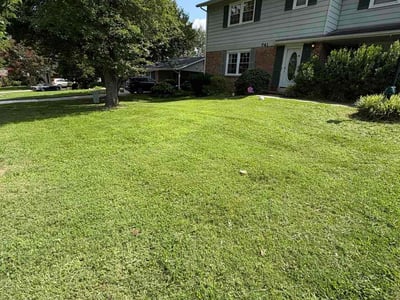 Lawn care service in Gaithersburg, 20878
