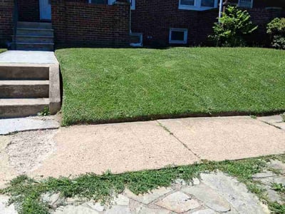 Lawn care service in Baltimore, 21213