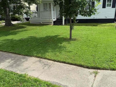 Lawn care service in Louisville, 40222