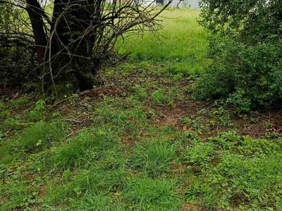 Lawn care service in Johnstown, 15904