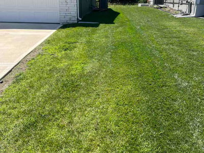 Lawn care service in Lee's Summit, 64082
