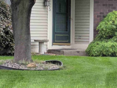 Lawn care service in Georgetown Township, 49428