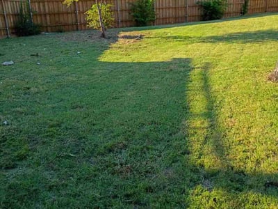 Lawn care service in Plano, 75074
