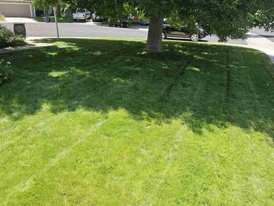 Lawn care service in Parker, 80134