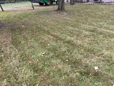 Lawn care service in Holt, 48842