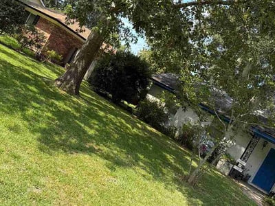 Lawn care service in Savannah, 31419