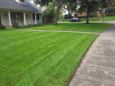 Lawn care service in Dallas, 75238