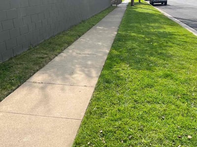 Lawn care service in Inglewood, 90301