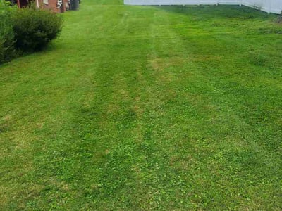 Lawn care service in Coraopolis, 15108