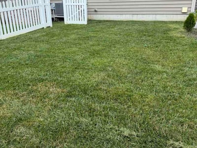Lawn care service in Middletown, 19709