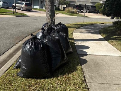 Lawn care service in Orlando, 32836