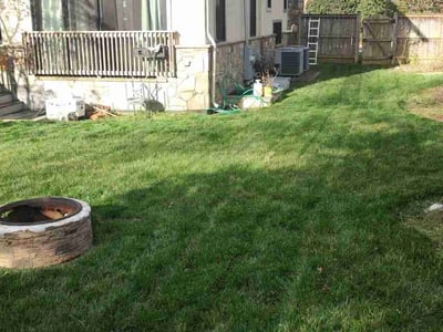 Lawn care service in Arlington, 22205