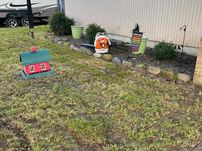 Lawn care service in Olympia, 98501