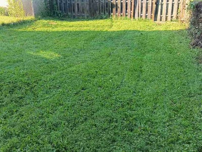 Lawn care service in Pittsburgh, 15210
