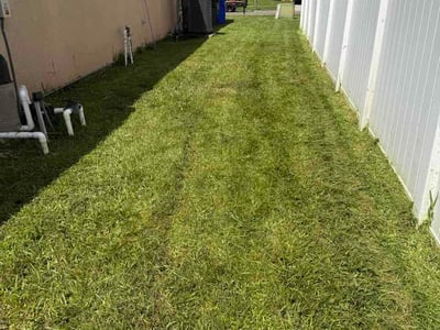 Lawn care service in St. Cloud, 34772