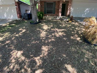 Lawn care service in San Antonio, 78254