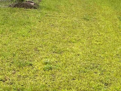 Lawn care service in Columbia, 29201