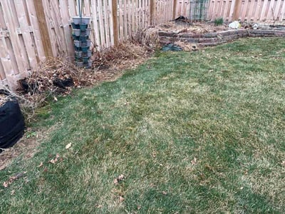 Lawn care service in Omaha, 68154