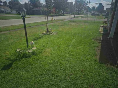 Lawn care service in Cheektowaga, 14206