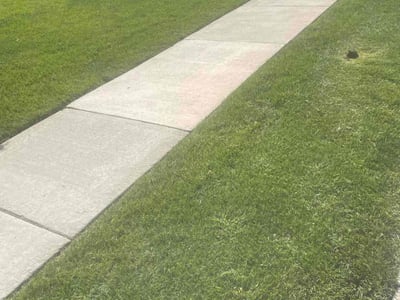 Lawn care service in Severance, 80550