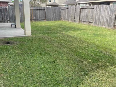 Lawn care service in Spring, 77386