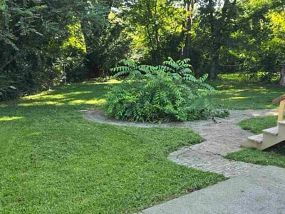 Lawn care service in Hendersonville, 37075