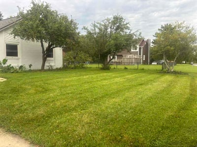 Lawn care service in Indianapolis, 46236
