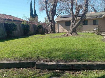 Lawn care service in Stockton, 95210