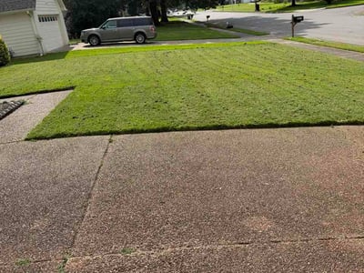 Lawn care service in Memphis, 38133