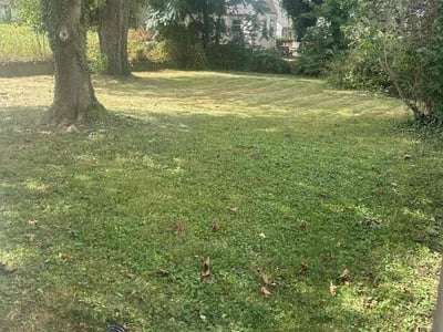 Lawn care service in Canton, 44709