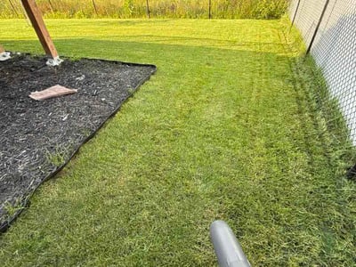 Lawn care service in Blaine, 55449