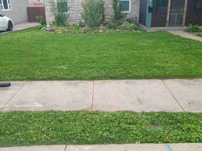 Lawn care service in Kansas City, 66103