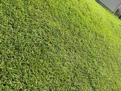 Lawn care service in Nashville, 37013