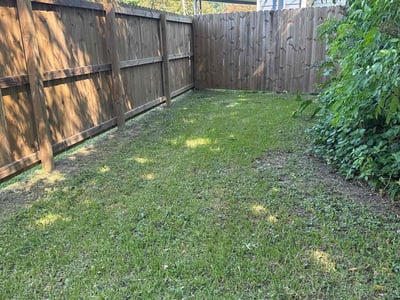 Lawn care service in New Orleans, 70131