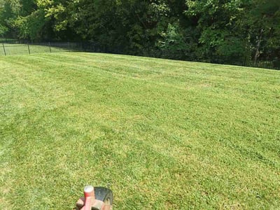 Lawn care service in Charlotte, 28278
