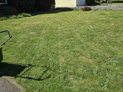 Lawn care service in Mukilteo, 98275