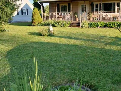 Lawn care service in Yellow Springs, 45387