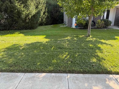 Lawn care service in Avon, 46123
