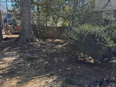 Lawn care service in Cary, 27511