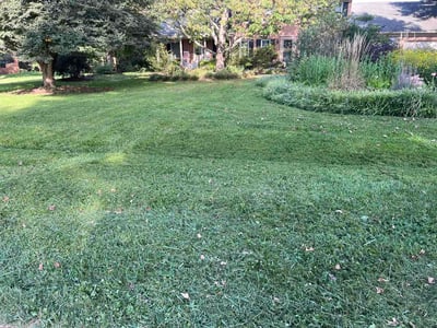 Lawn care service in Jefferson, 21755