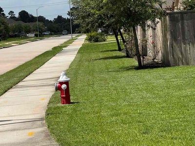 Lawn care service in Tomball, 77375