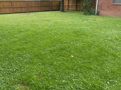 Lawn care service in Springdale, 72762