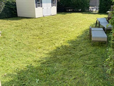 Lawn care service in Patchogue, 11772