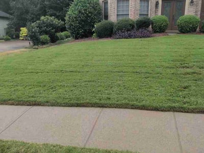 Lawn care service in Dacula, 30019
